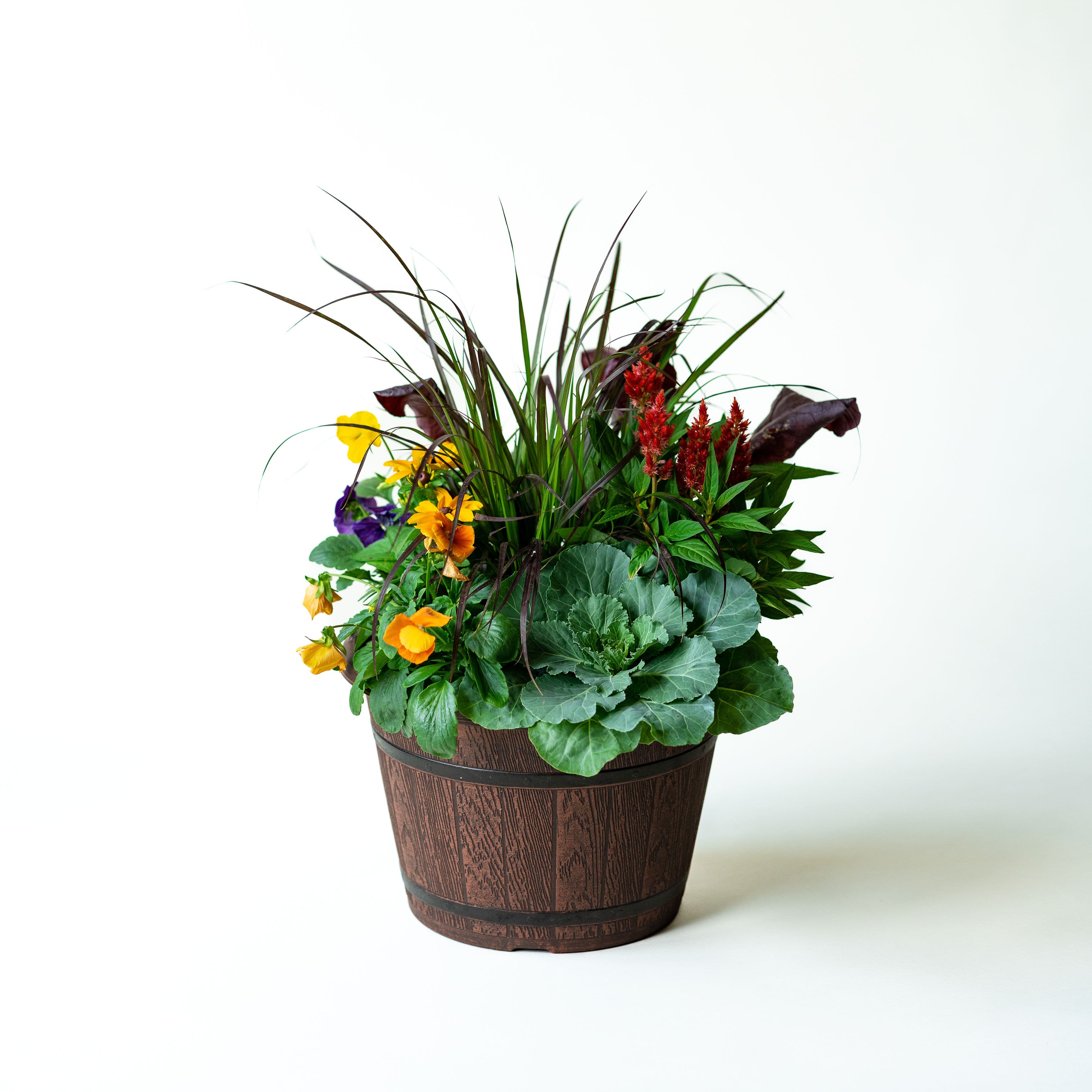 11" Fall Combo Planter